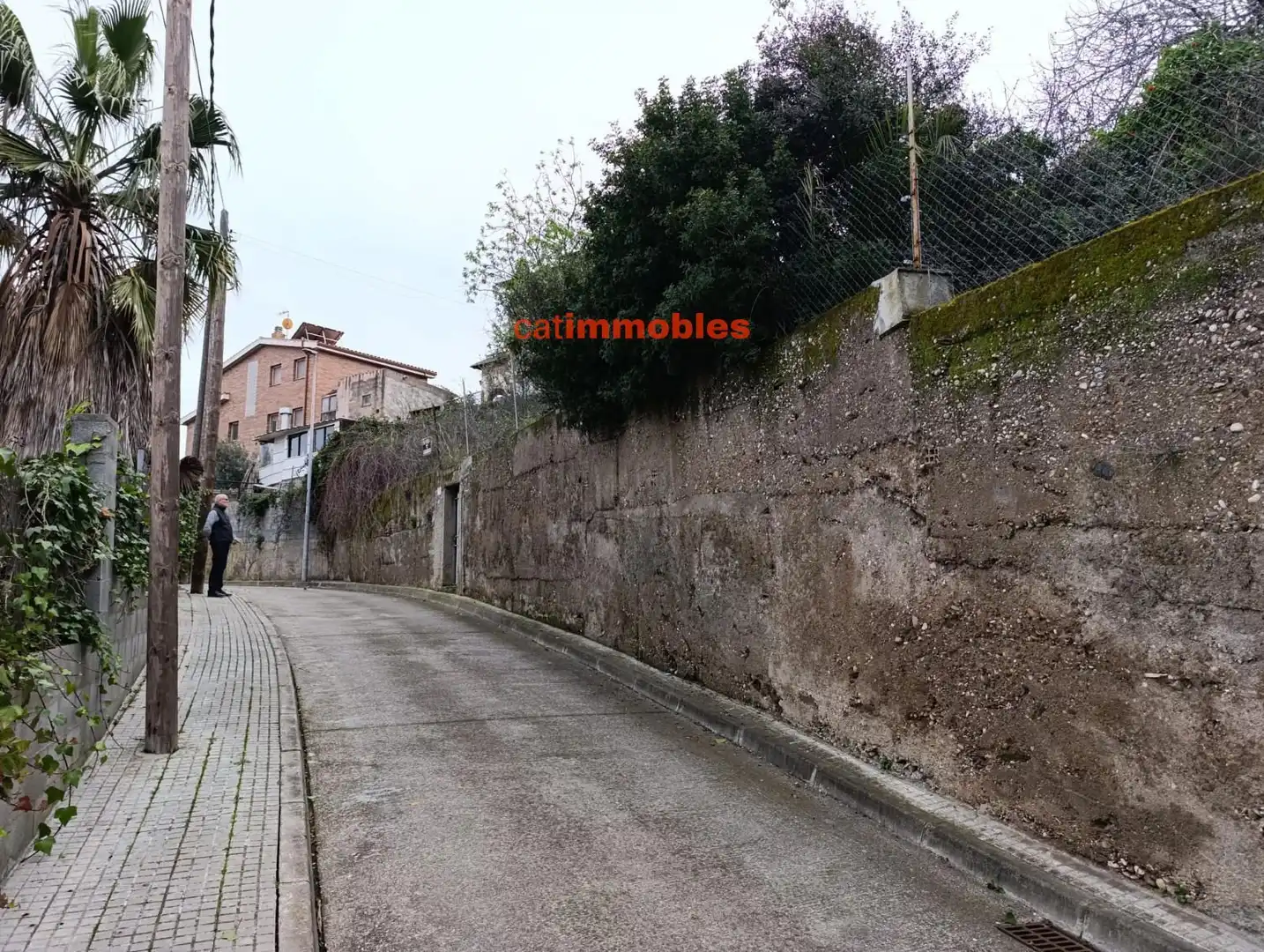 Terreny rústic en venda a Moreneta, imagen 3