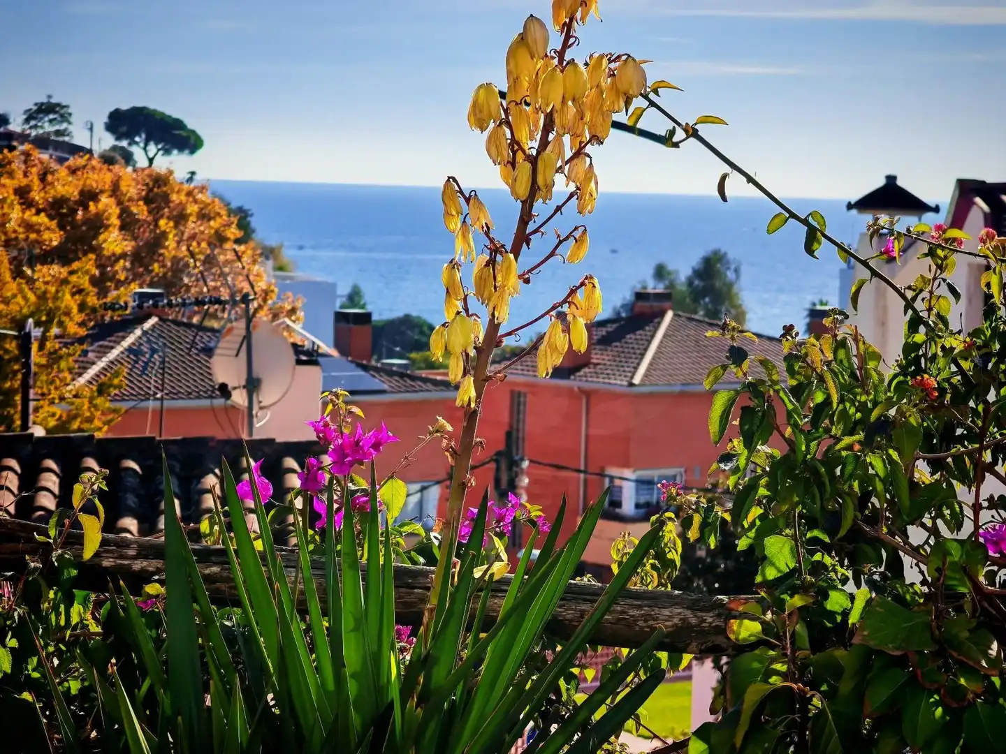Vista exterior de Casa o xalet en venda en Canet de Mar amb Calefacció i Terrassa