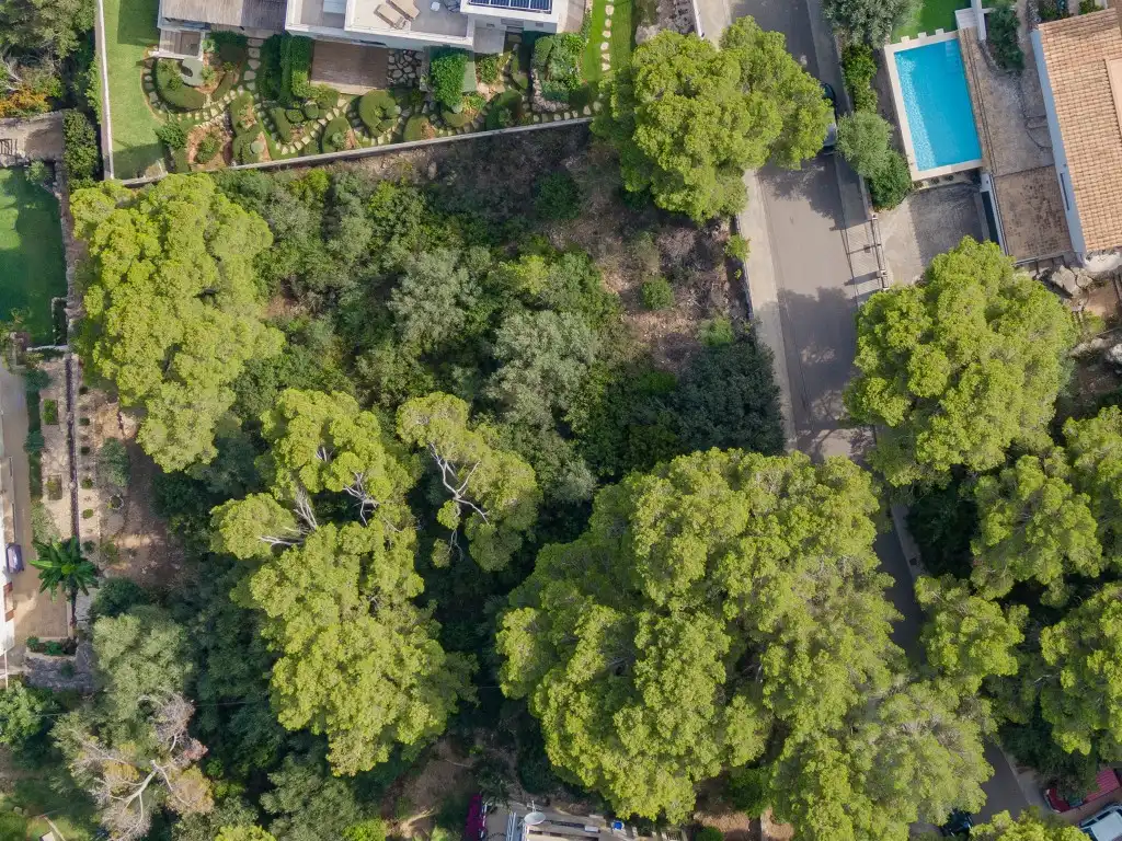 Rustikales Grundstück zum Verkauf in Pollença Poble, imagen 10