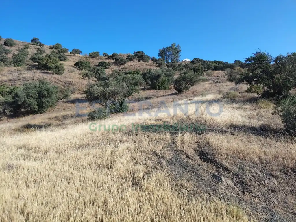 Terreno residencial en venta en Este, imagen 20