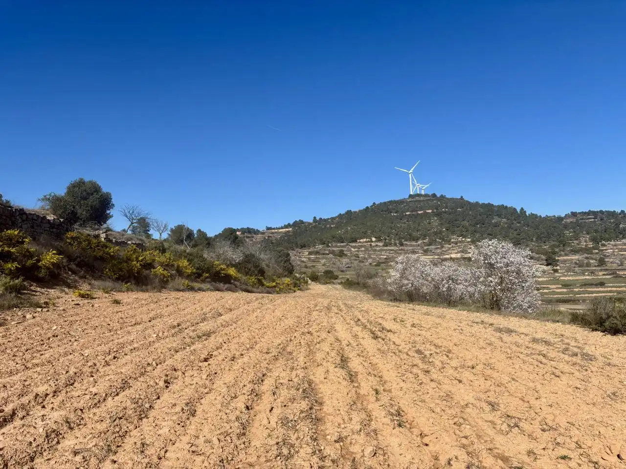 Terreno en venta en Solivella