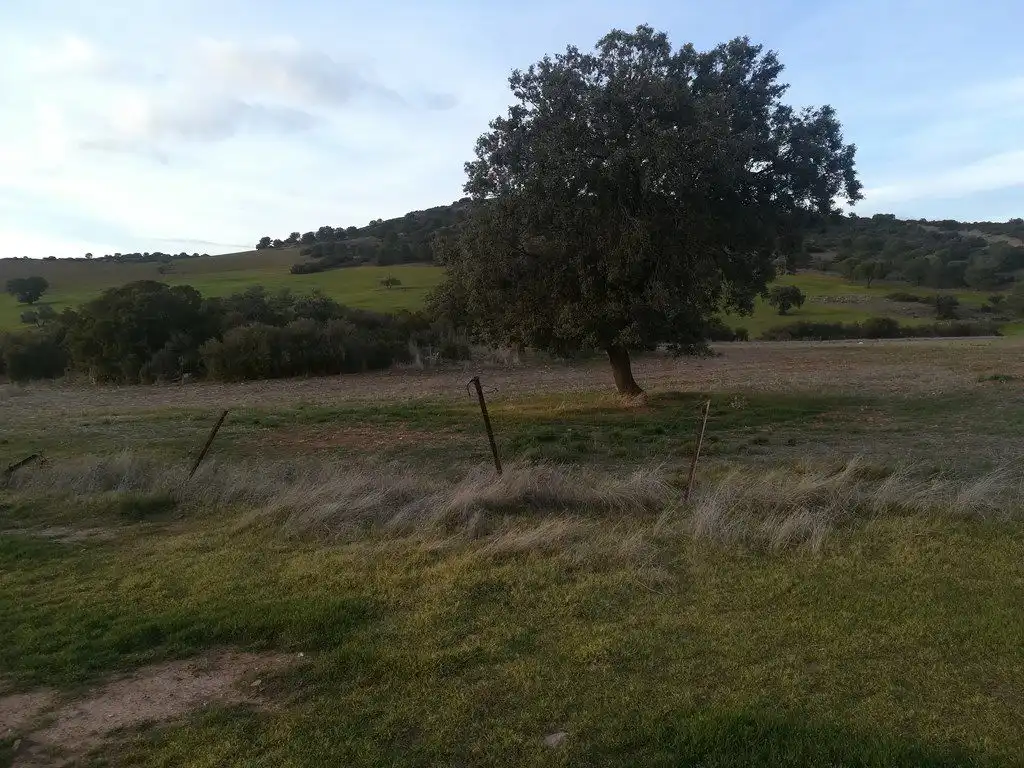 Casa rústica en venda a Santa Cruz de Mudela, imagen 14