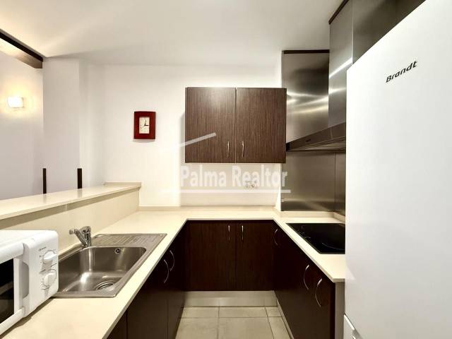 Piso en Alquiler en Carrer de la Sala dels Flassaders en El Sindicat