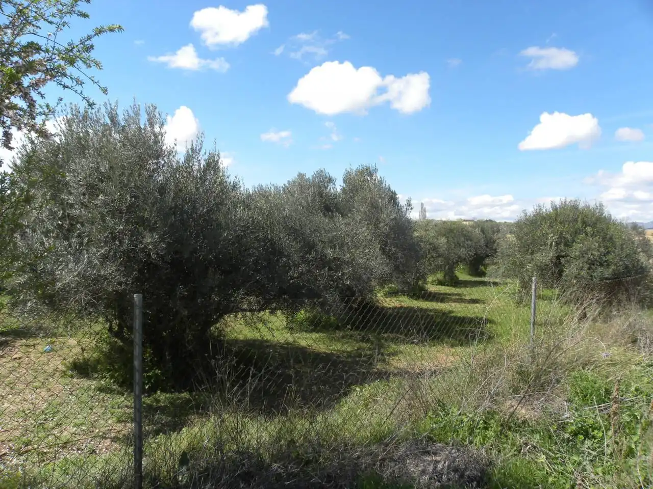 Residential land for sale in Calle Hoyuela, imagen 14