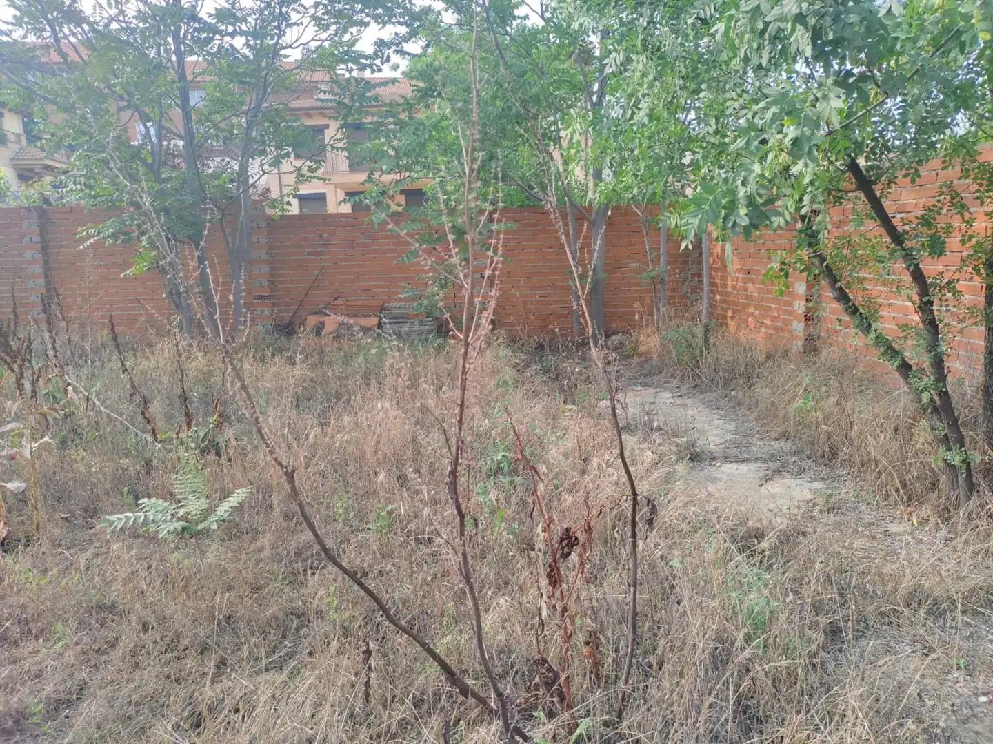 Residencial en venda en El Molar (Madrid)
