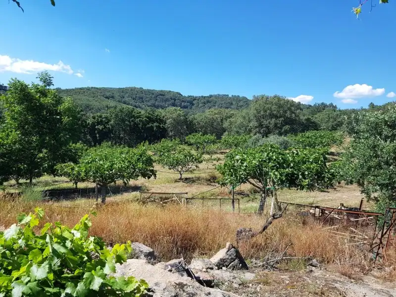 Chalet en venta en Torremenga, imagen 31