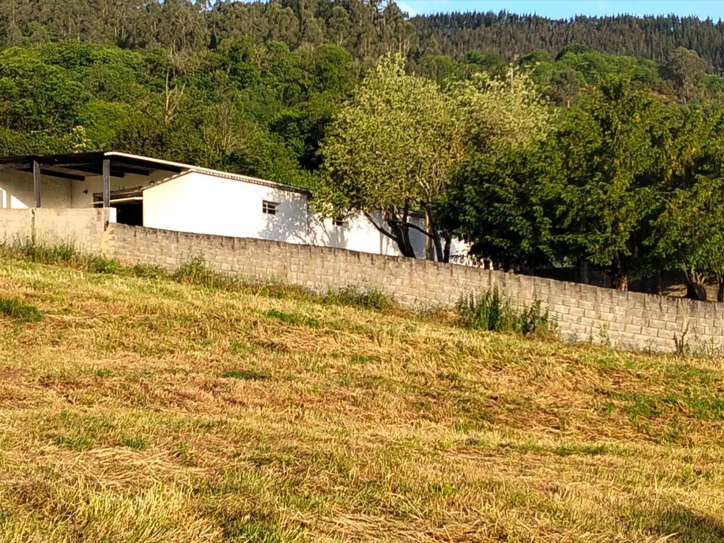 Commercial properties for sale in Salas