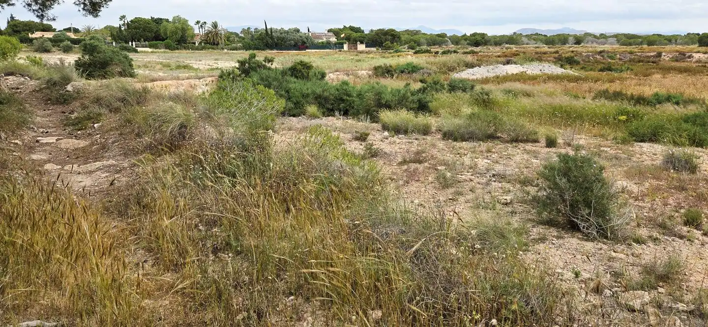 Residential zum Verkauf in Elche / Elx