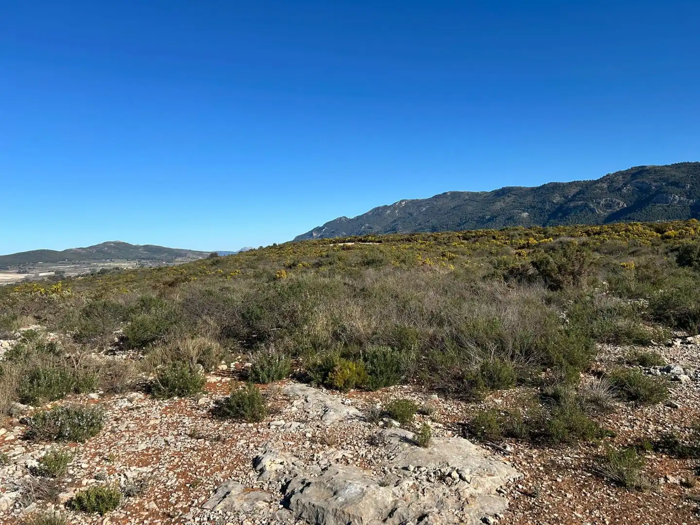 Finca rústica en venta en partida Pla de la Viña, Alfafara