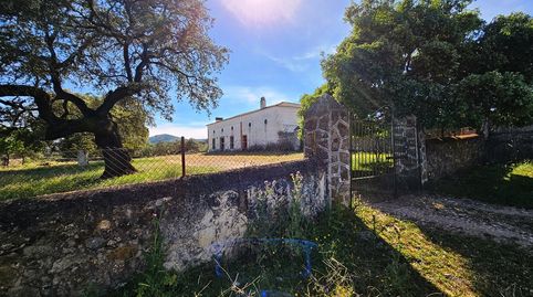 Finca de dehesa 600 has con cortijo y mucha agua.