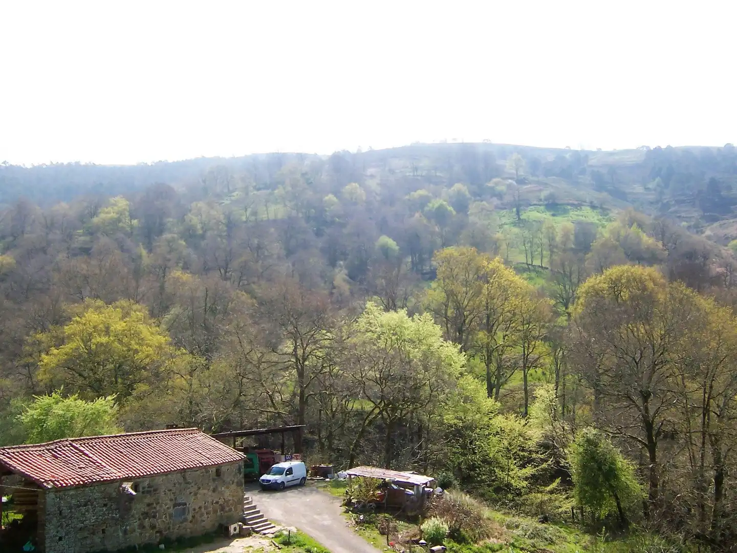 Jardín de Casa o chalet en venta en Saro