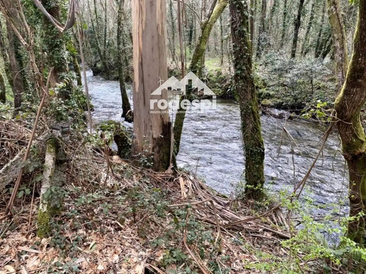 Terreny rústic en venda a A Cañiza, imagen 16