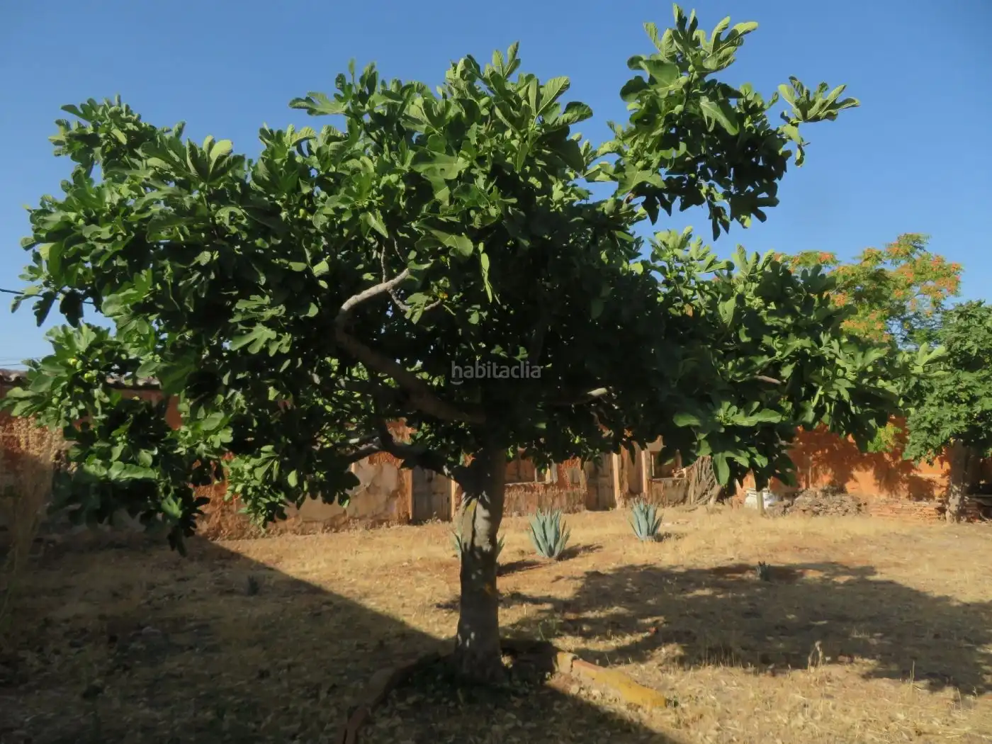 Terreno residencial en venta en Calle Real 47, imagen 3