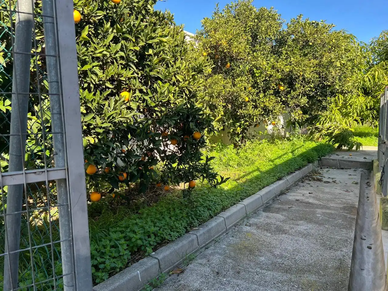 Jardí de Finca rústica en venda en Alhaurín de la Torre amb Terrassa, Traster i Alarma