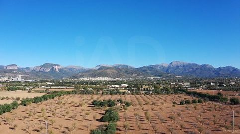 Photo 3 of Residential for sale in Gran Via de Colom, Inca
