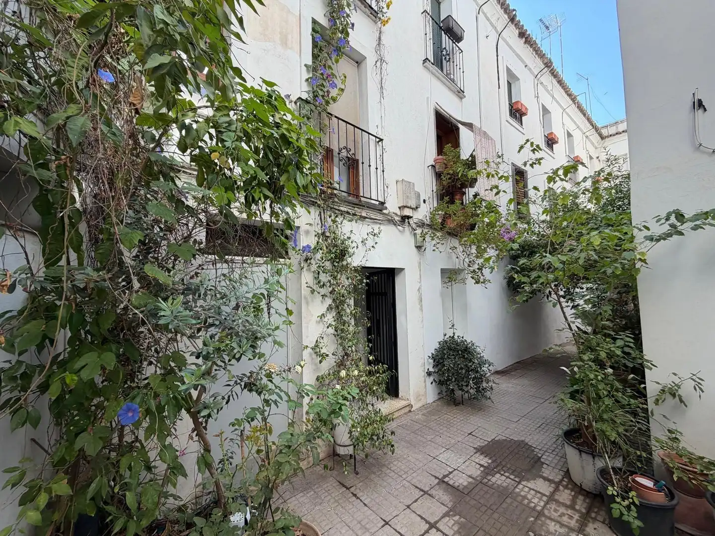 Wohnung mit Terrasse zum Verkauf in Calle Lucano 17, imagen 26