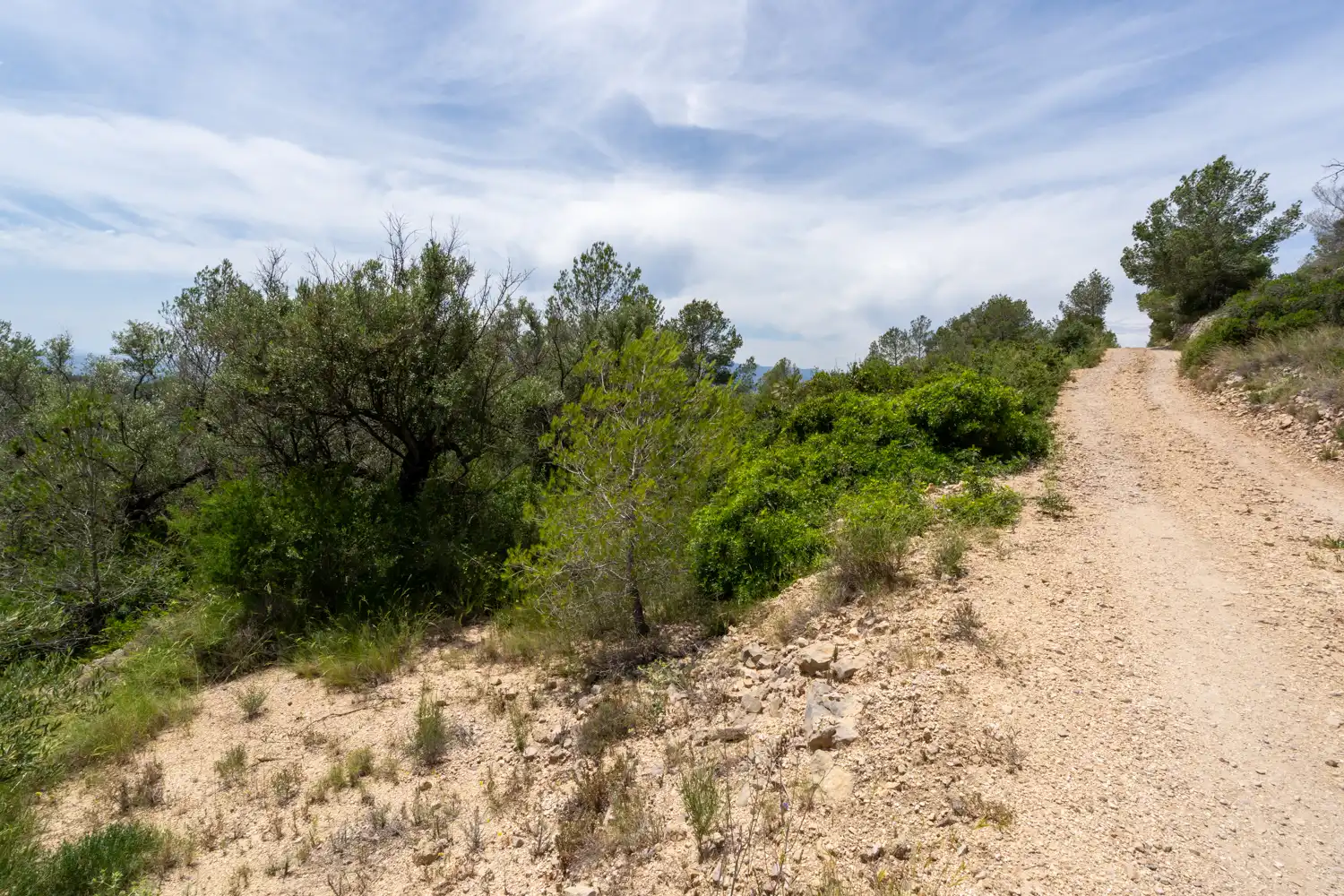 Terrain rustique à vendre à Camí dels Corrals de la Riba 9, imagen 8