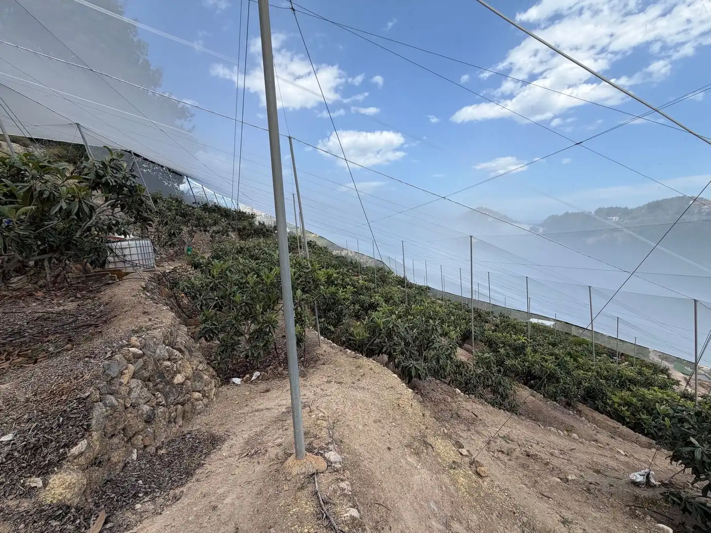Vista exterior de Finca rústica en venta en Polop