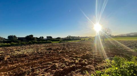 Foto 4 von Grundstücke zum Verkauf in Son Ferriol, Palma de Mallorca