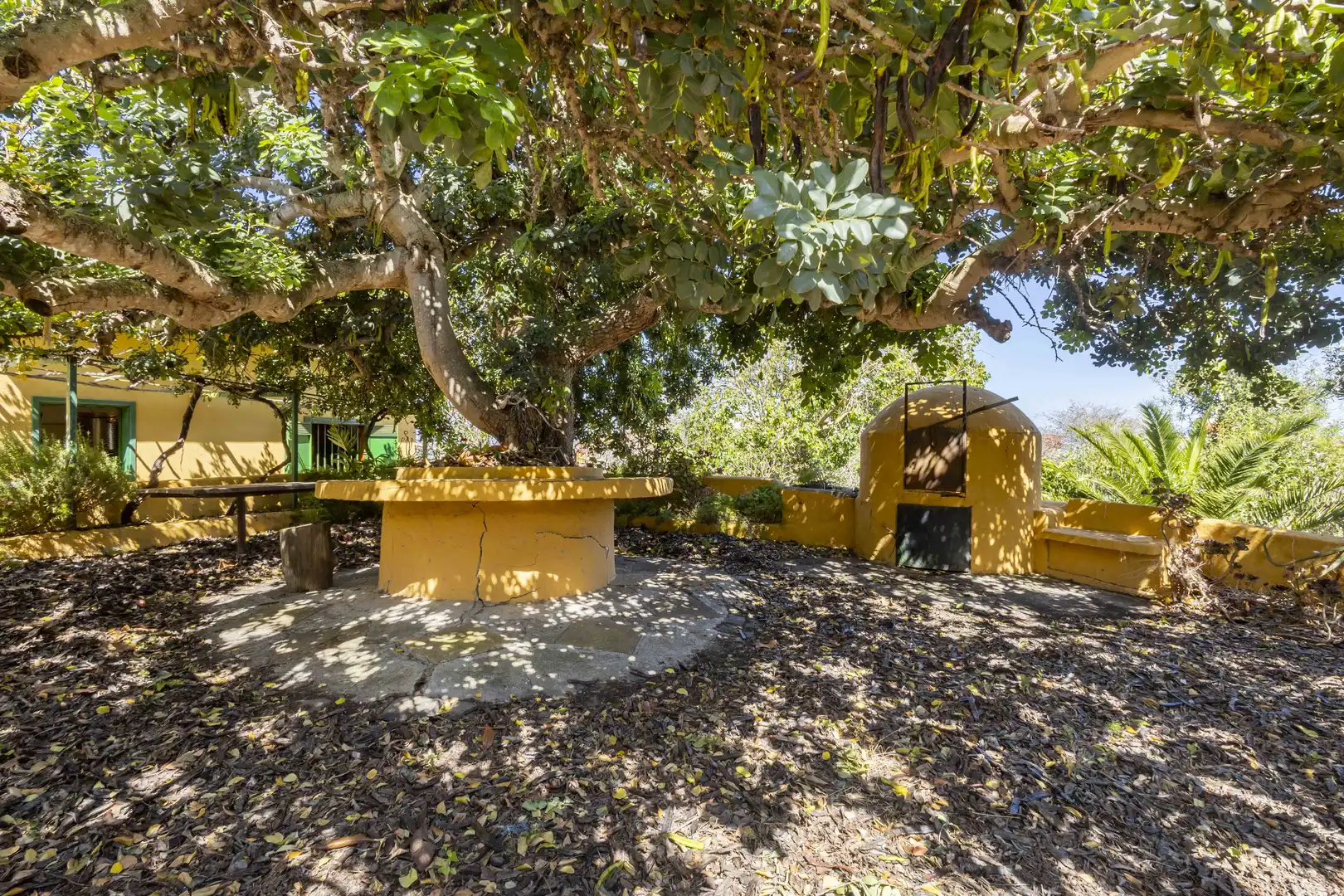 Garden of Houses for sale in San Cristóbal de la Laguna  with Private garden, Terrace and Storage room