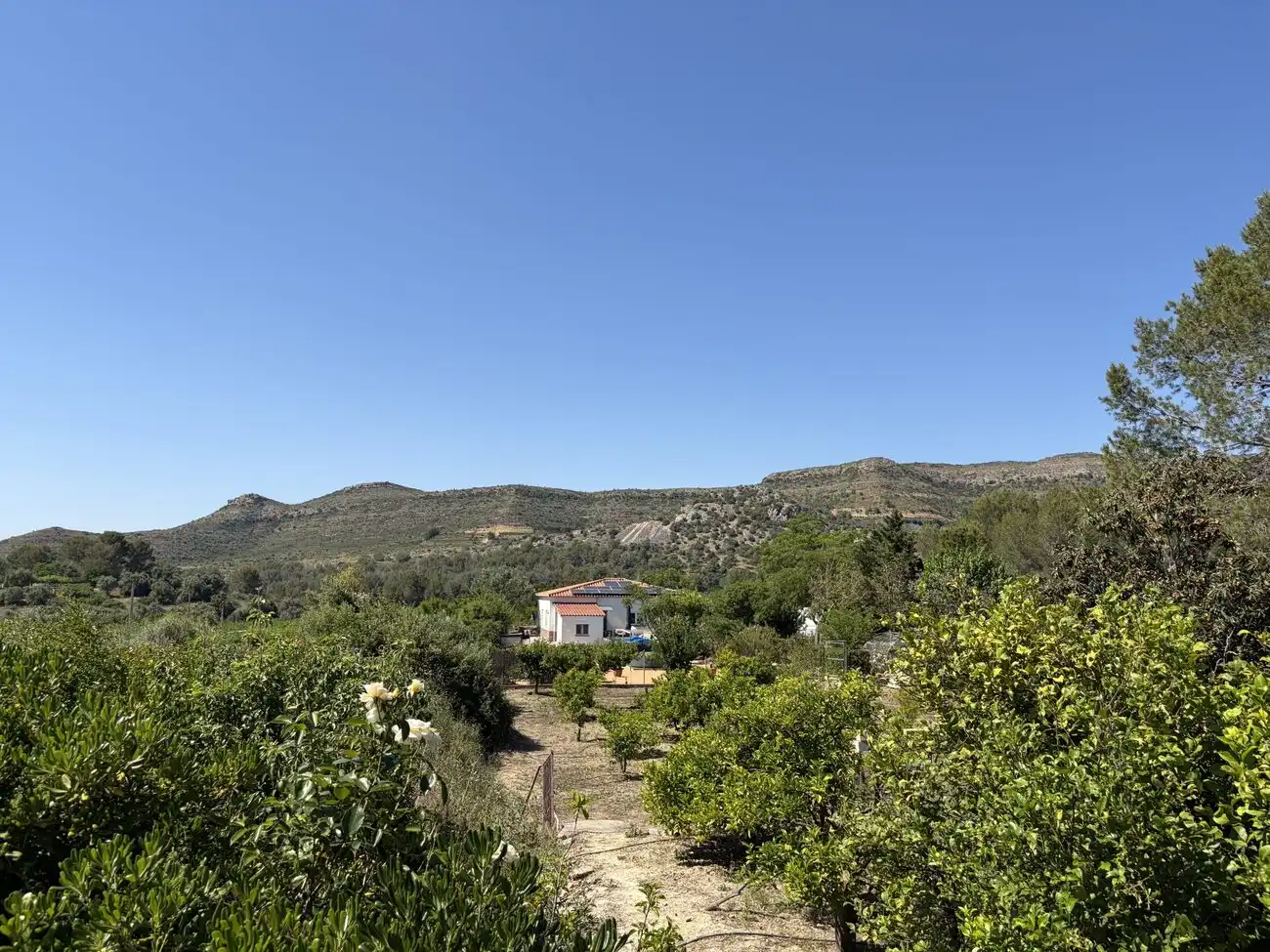 Casa rustica con piscina in vendita a Xàtiva, imagen 39