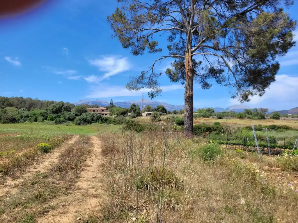 Country house for sale in Costitx, imagen 8