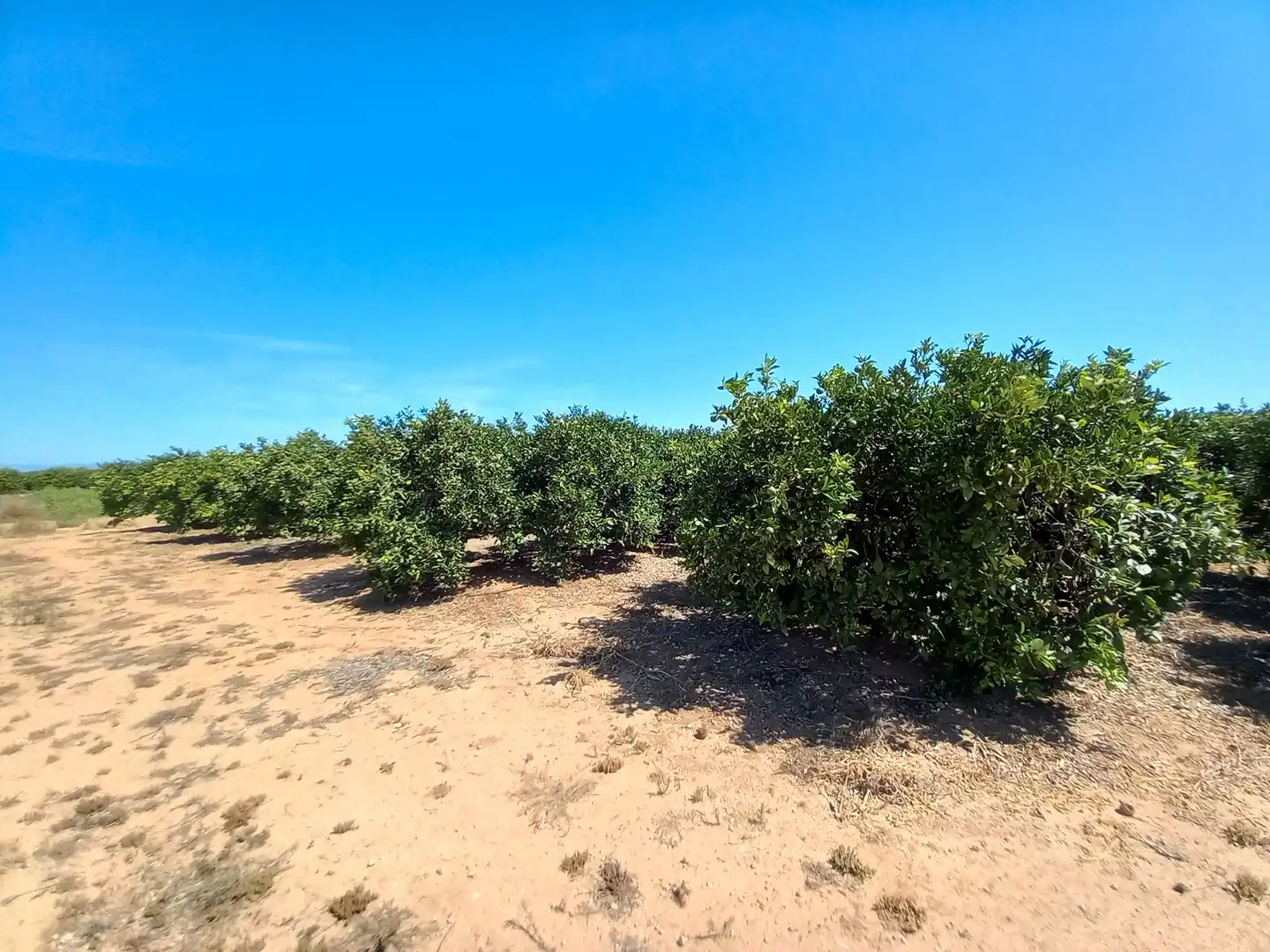 Land for sale in Vinaròs