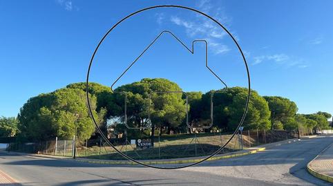 Foto 3 von Residential zum verkauf in Pino, Dehesa - Monacilla, Huelva