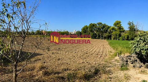📍FINCA RUSTICA CON CASA Y 2 NAVES CERCA DE ECIJA📍, immagine 3