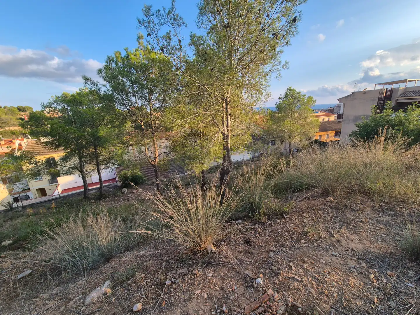 Terreny residencial en venda a Roda de Barà, imagen 3