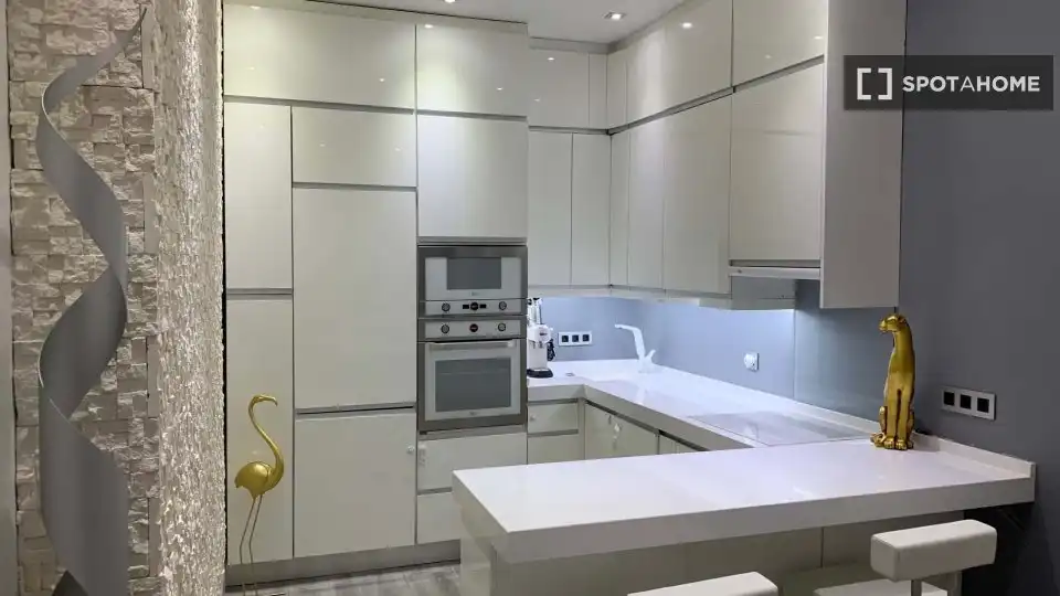 Kitchen of Flat for rent in Madrid  with Air Conditioner, Heating and Furnished