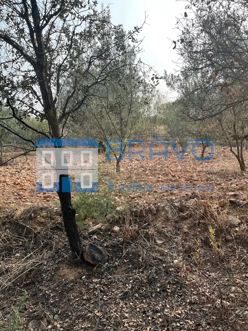Chalet en venta en Don Benito, imagen 23