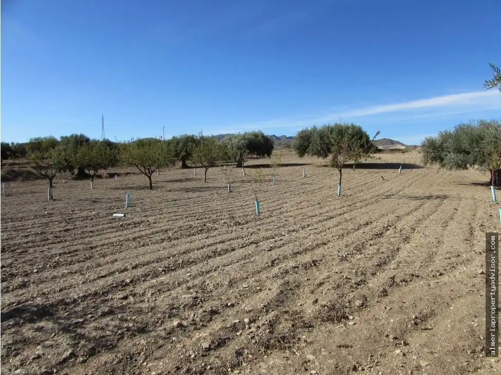 Country homes for sale in Antas