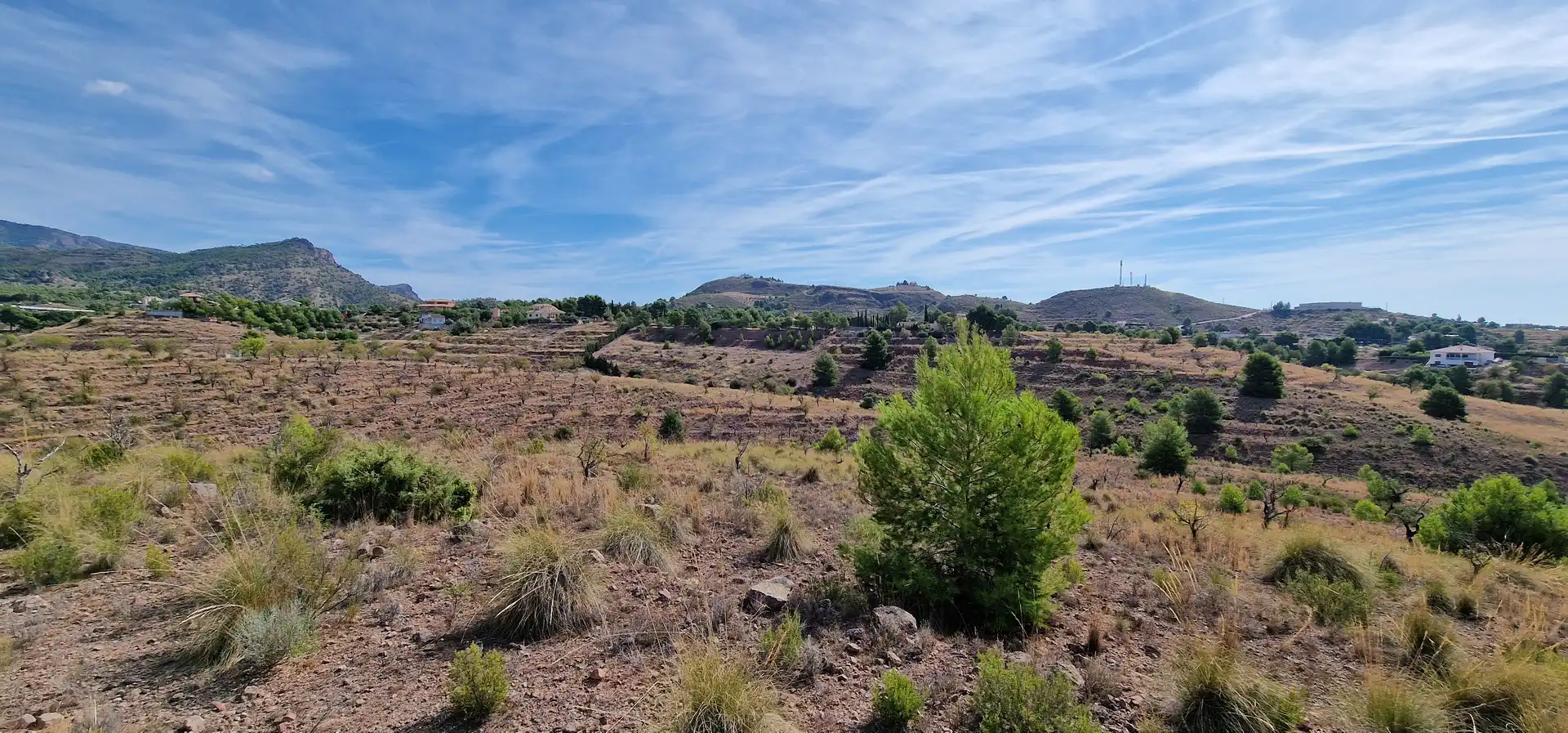 Residential land for sale in Aledo, imagen 3