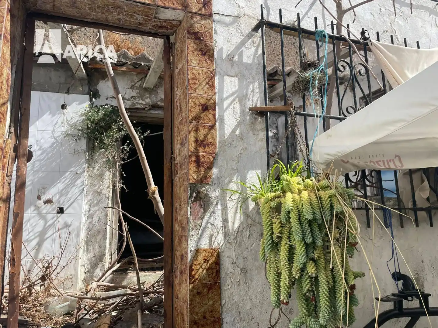 Houses for sale in Conil