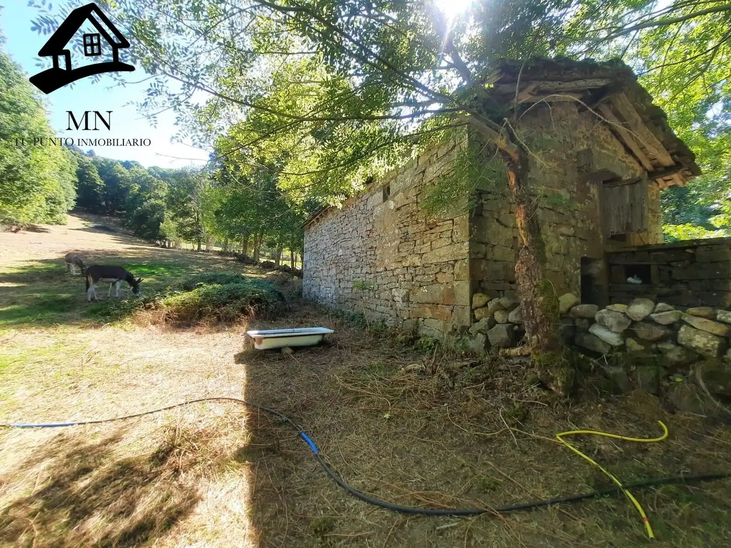 Finca rústica en venda en Espinosa de los Monteros