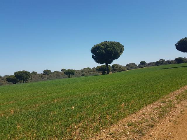 Terreno en Venta en Añover de Tormes