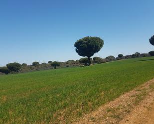 Terreny en venda en Añover de Tormes