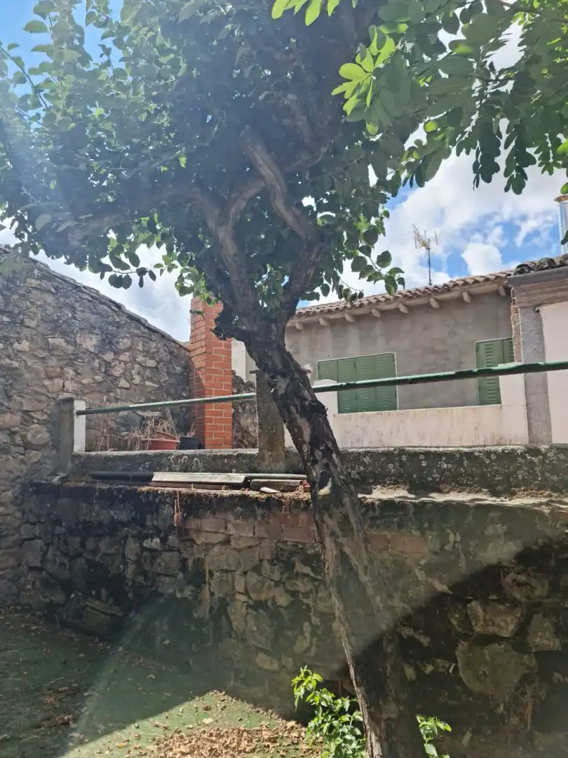 Jardín de Casa o chalet en venta en Navalperal de Pinares con Calefacción, Terraza y Trastero
