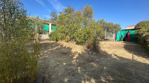 Foto 3 de Finca rústica en venda a Calle Badajoz, Almendralejo, Badajoz