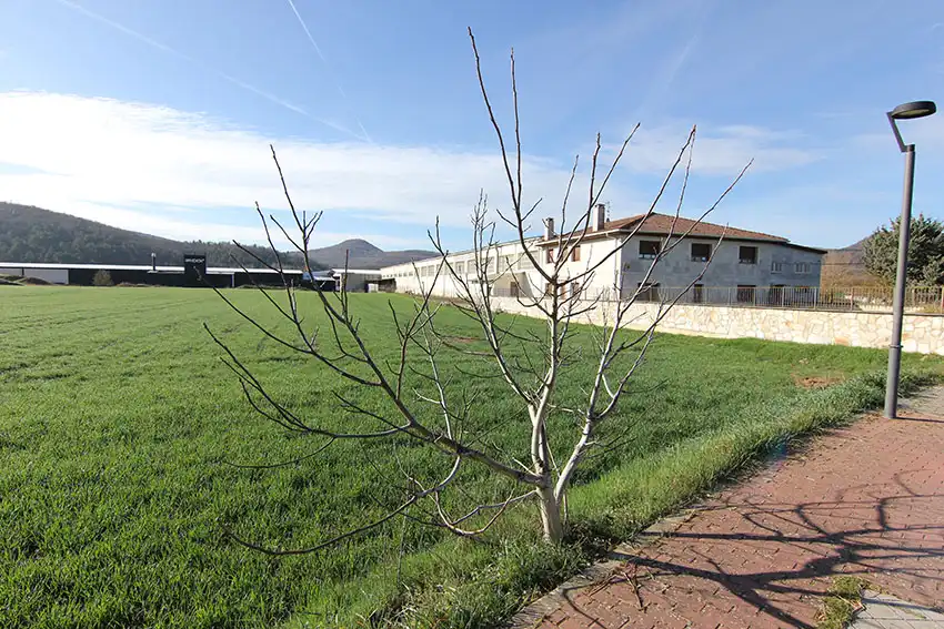 Residential land for sale in Arraia-Maeztu, imagen 5