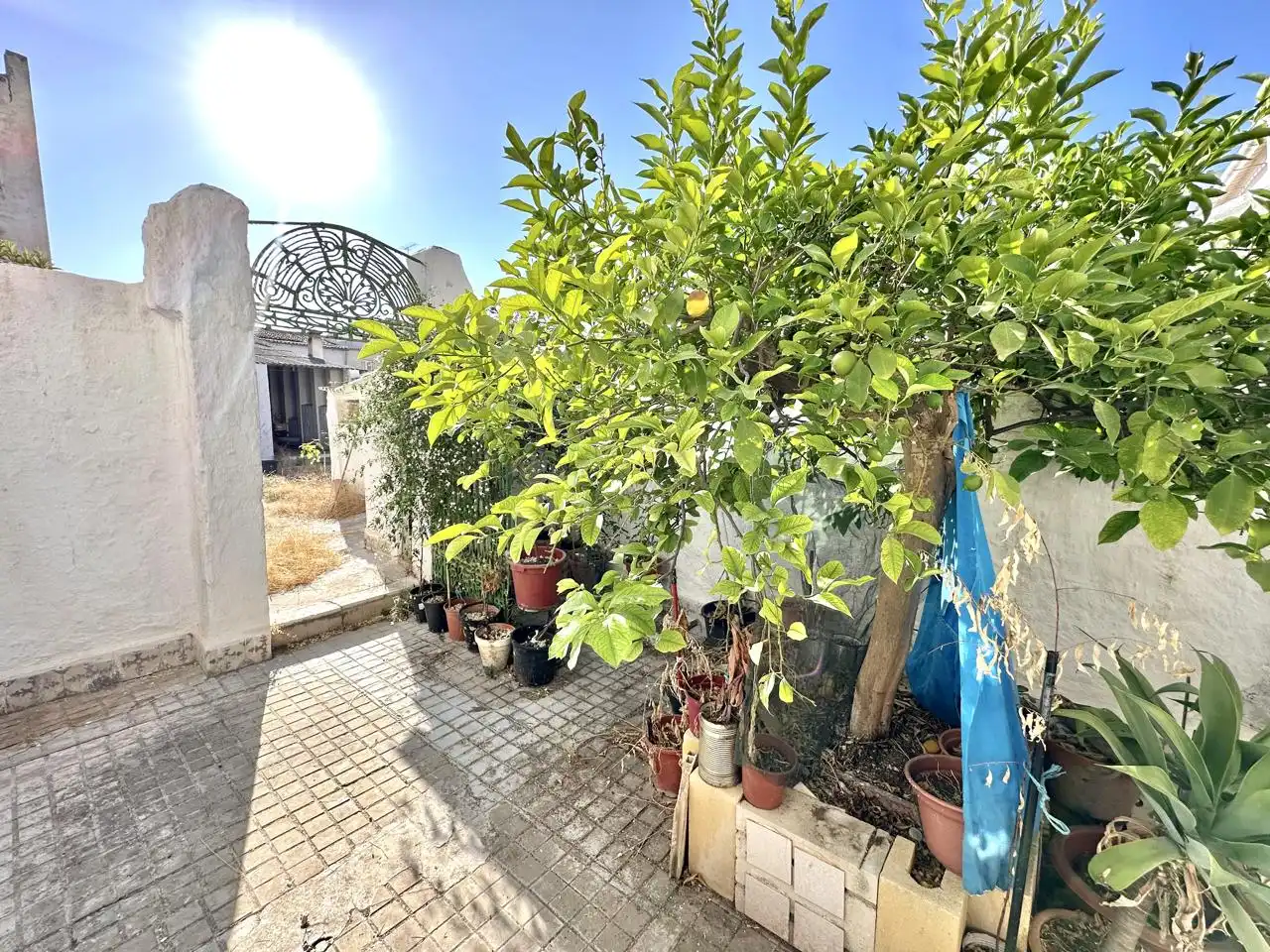 Jardí de Casa o xalet en venda en Sierra de Yeguas amb Jardí privat