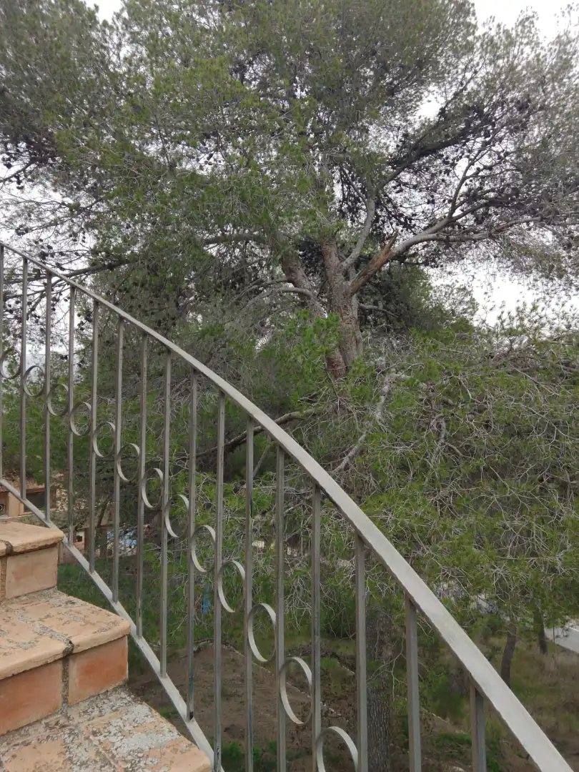 Jardí de Casa o xalet en venda en Tibi amb Calefacció, Jardí privat i Terrassa