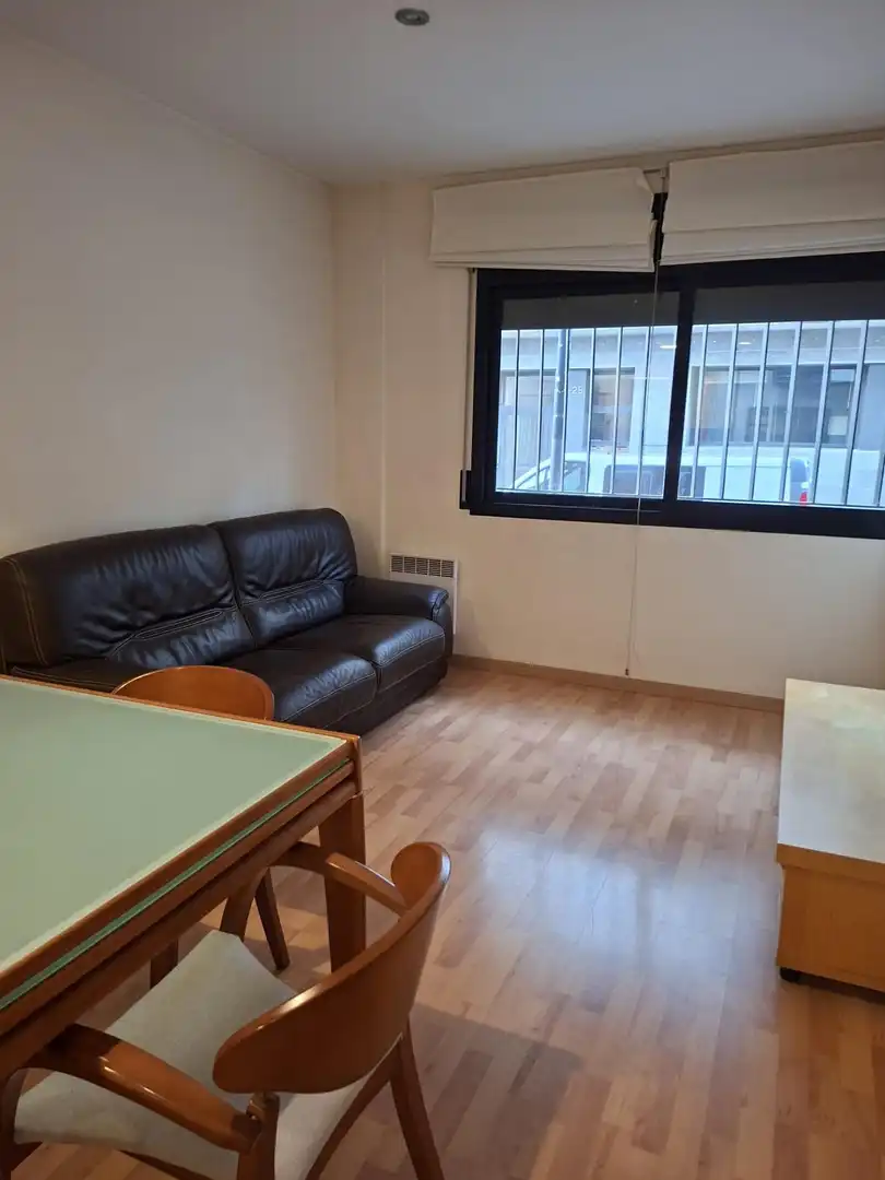 Sala d'estar de Planta baixa de lloguer en Girona amb Calefacció, Terrassa i Balcó