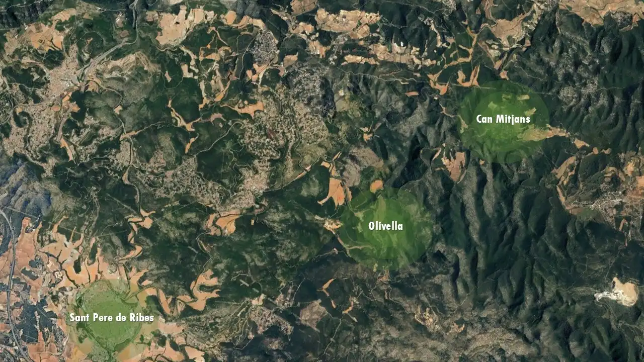 Rural land for sale in C/ Alzina L (Can Suria), imagen 5