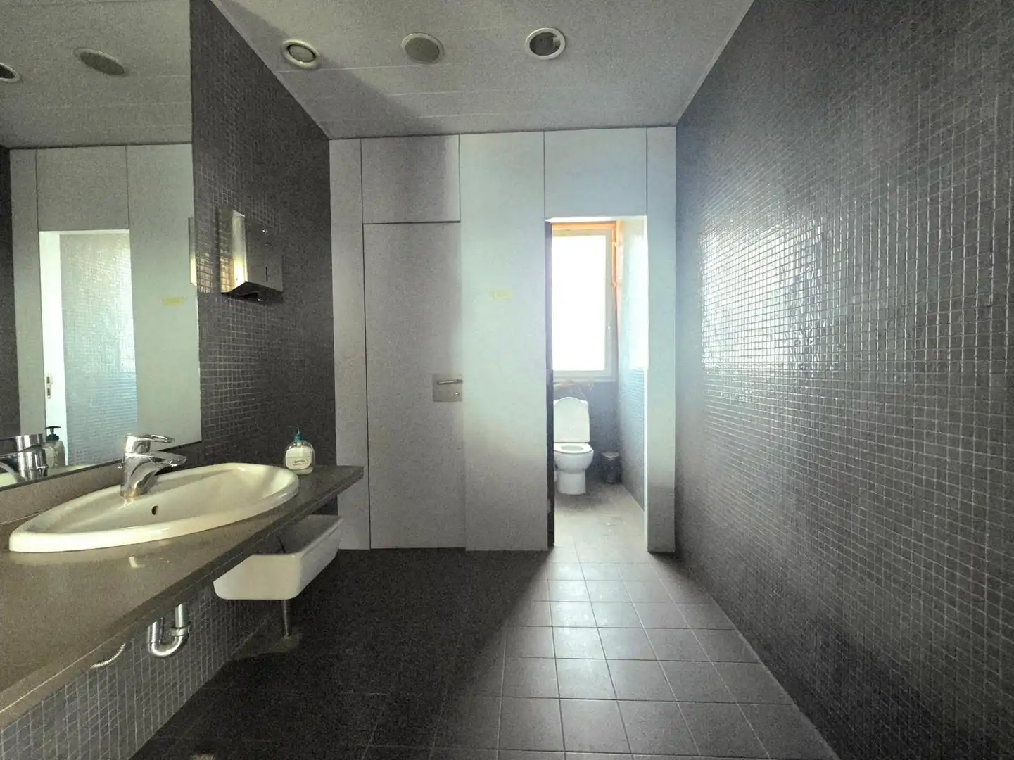 Office space with lift to rent in Sant Cosme - La Granja, imagen 40