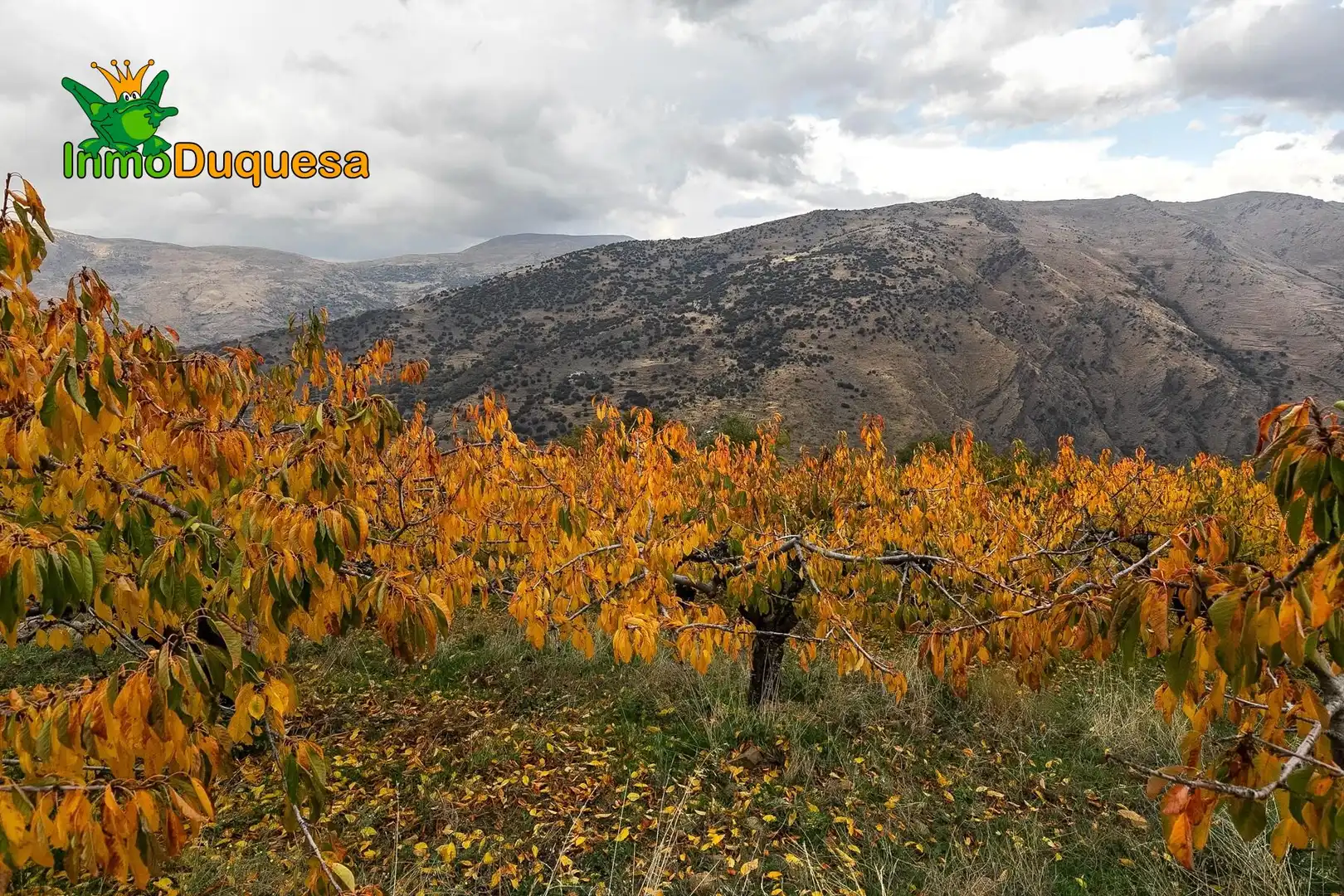 Casa rústica en venda a Güéjar Sierra, imagen 15