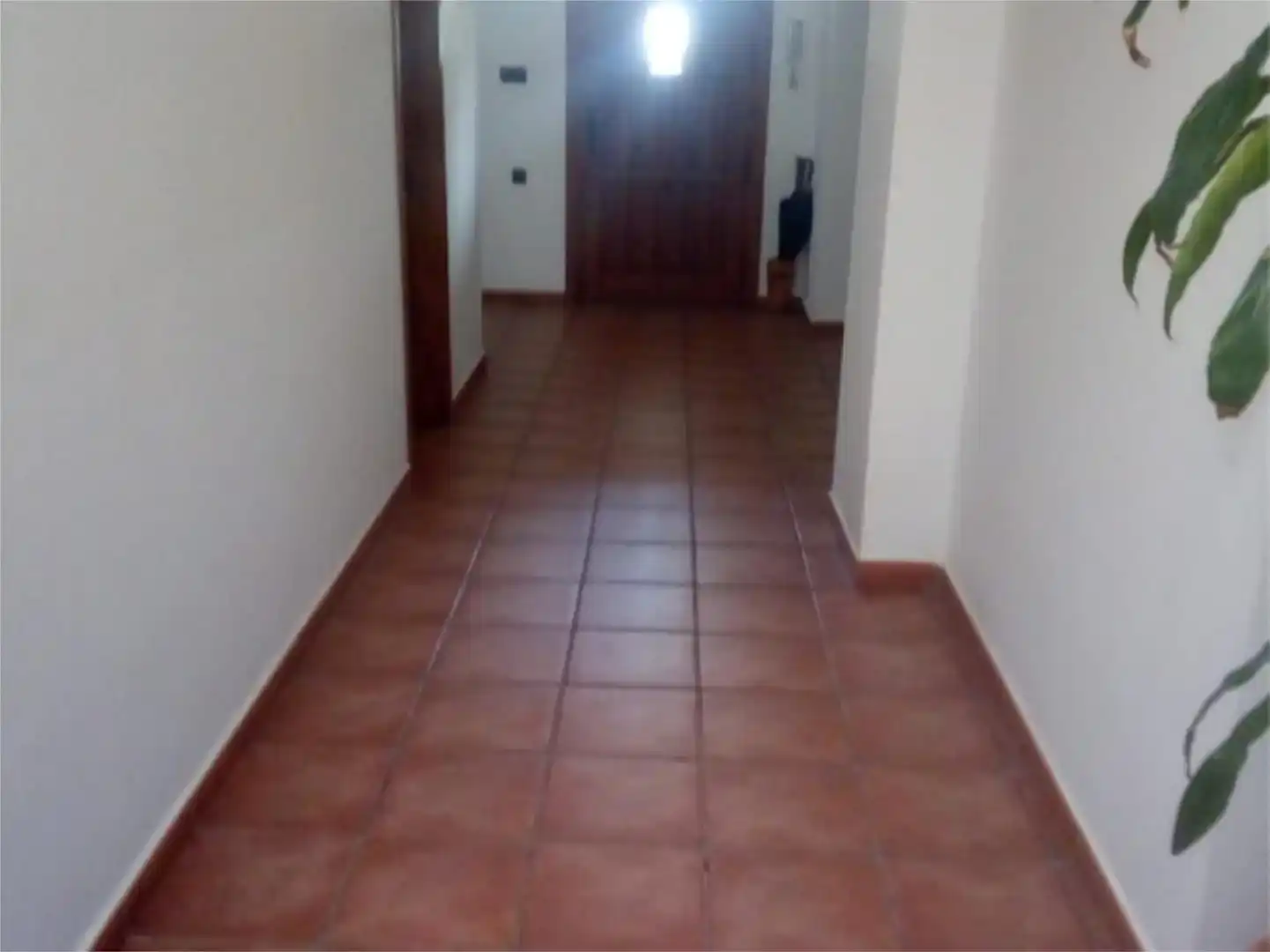 Planta baixa en venda en Crevillent amb Balcó
