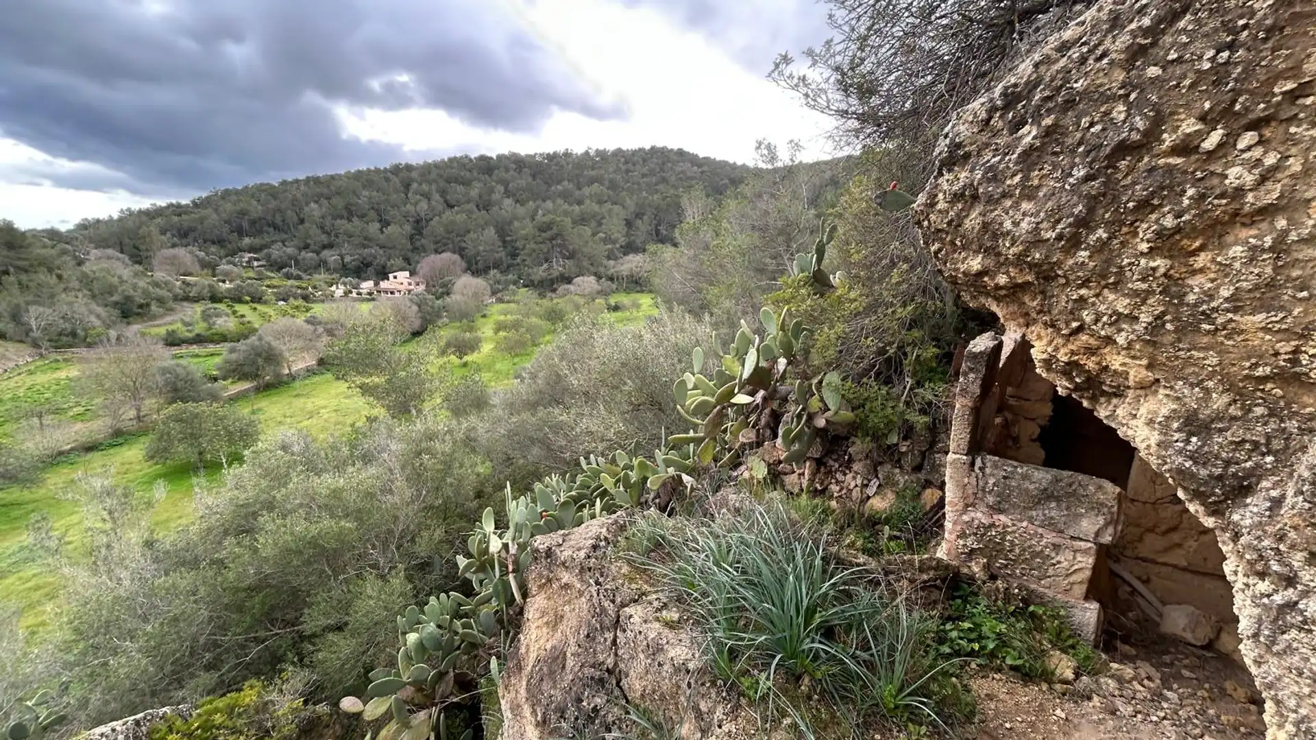 Finca rústica en venta en Santa Eugènia