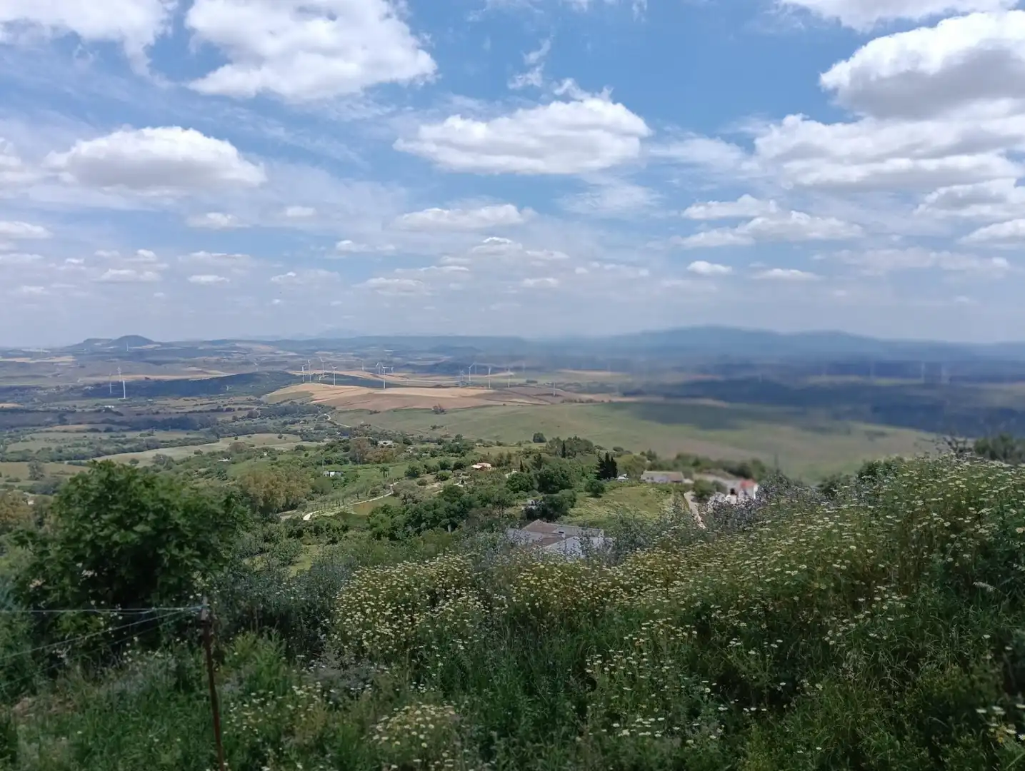 Local comercial en venda a Medina Sidonia, imagen 41